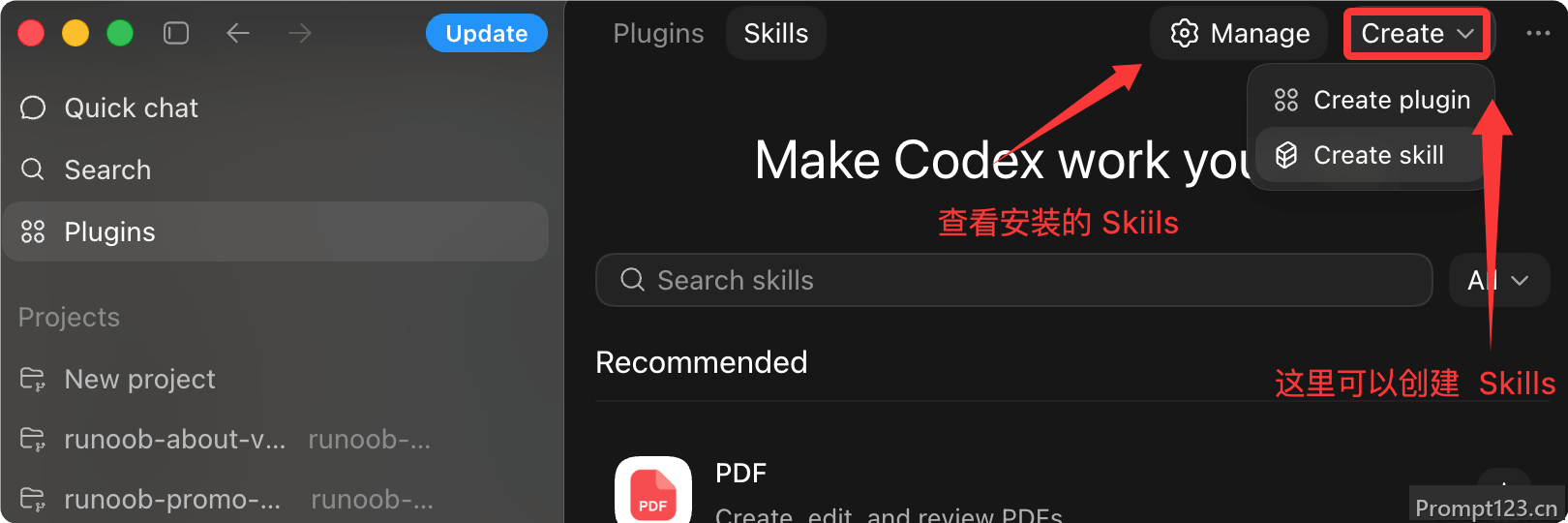 Codex Agent Skills