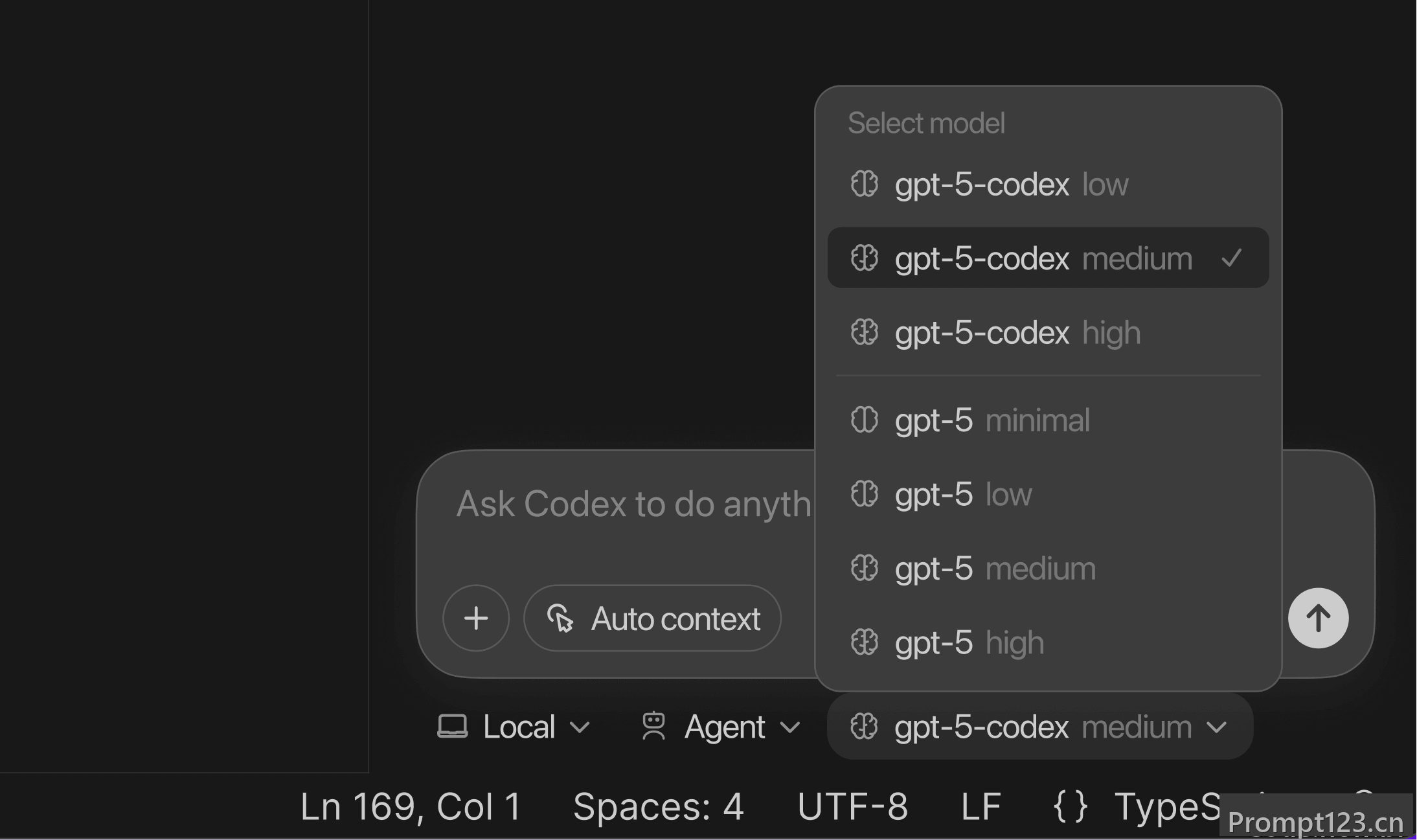 Codex 模型选择