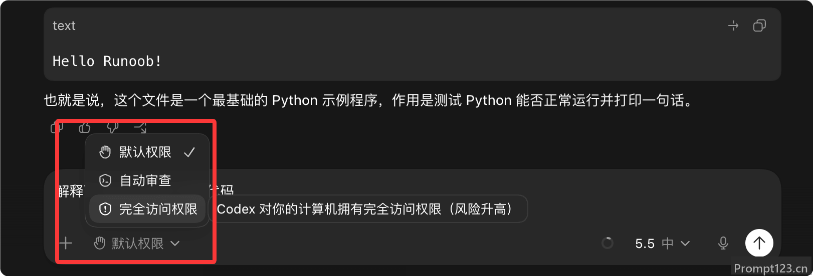 Codex 权限设置