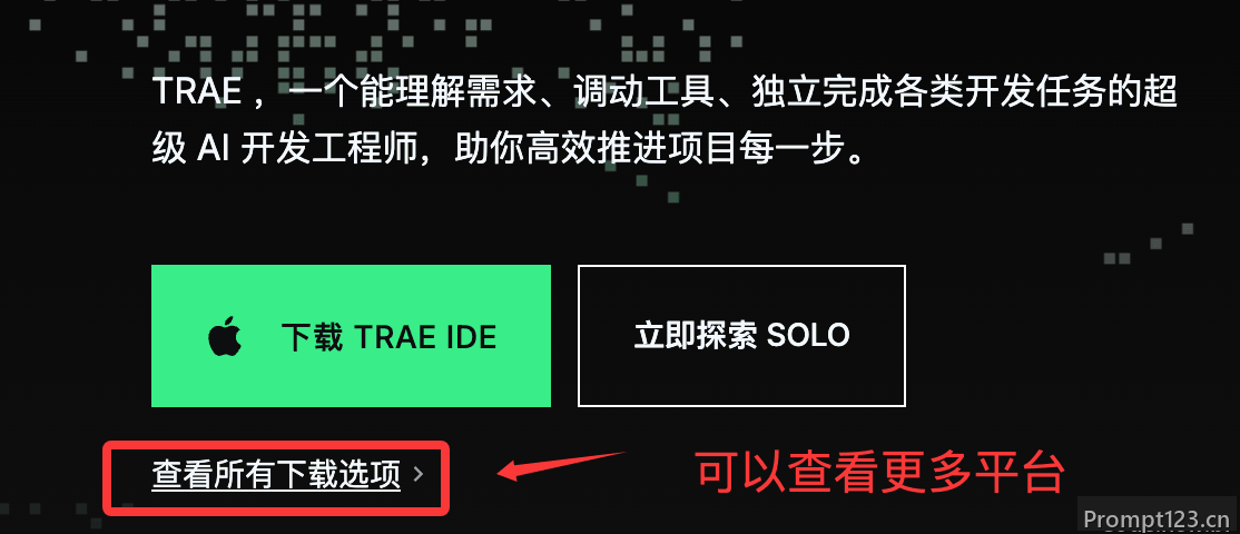 Trae 教程