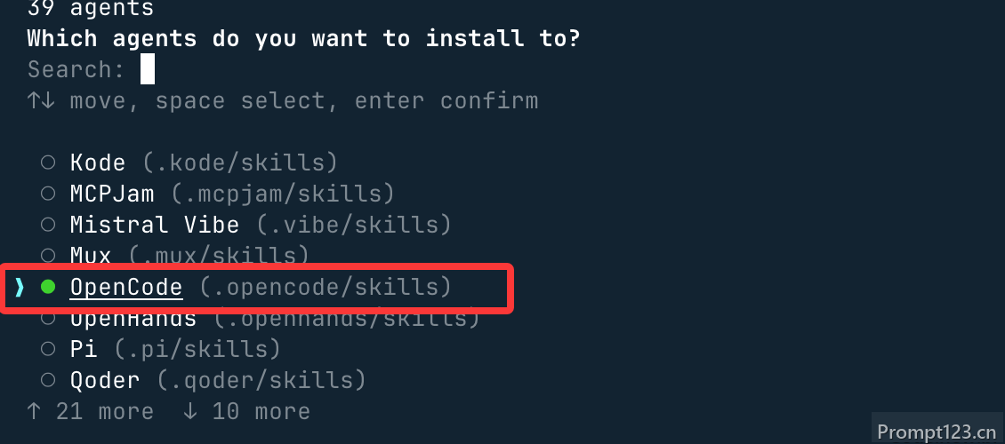 OpenCode skills 使用